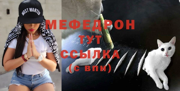 МДПВ Абаза