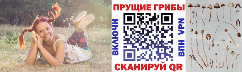 Псилоцибиновые грибы Magic Shrooms Палласовка